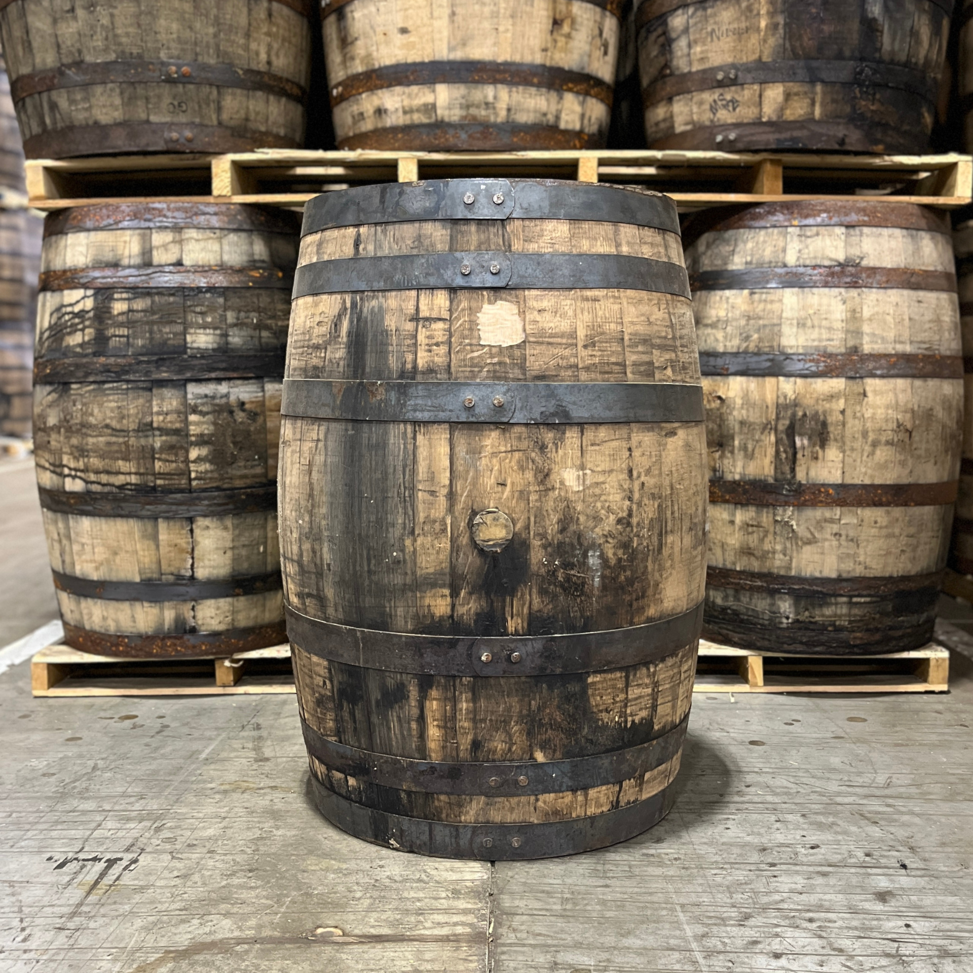 Kentucky Bourbon Barrel With Head & Belly Bungs - Fresh Dumped, Once Used
