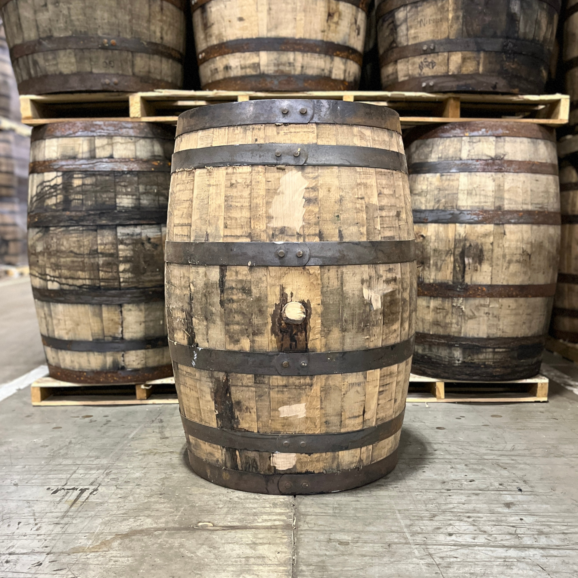 Kentucky Bourbon Barrel With Head & Belly Bungs - Fresh Dumped, Once Used