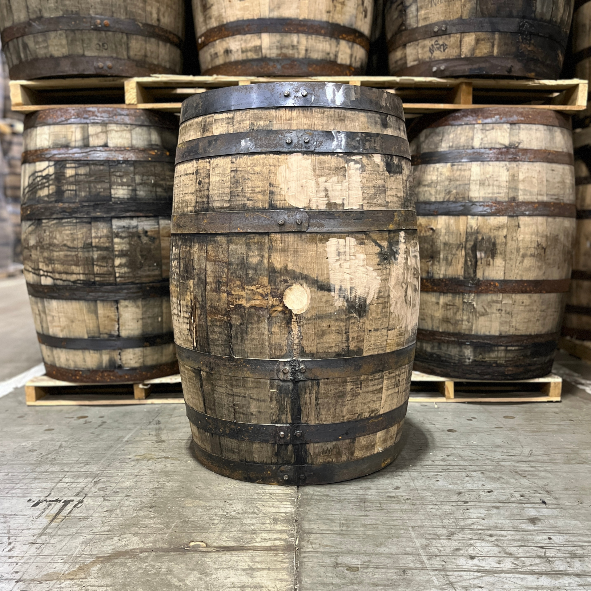 Kentucky Bourbon Barrel With Head & Belly Bungs - Fresh Dumped, Once Used