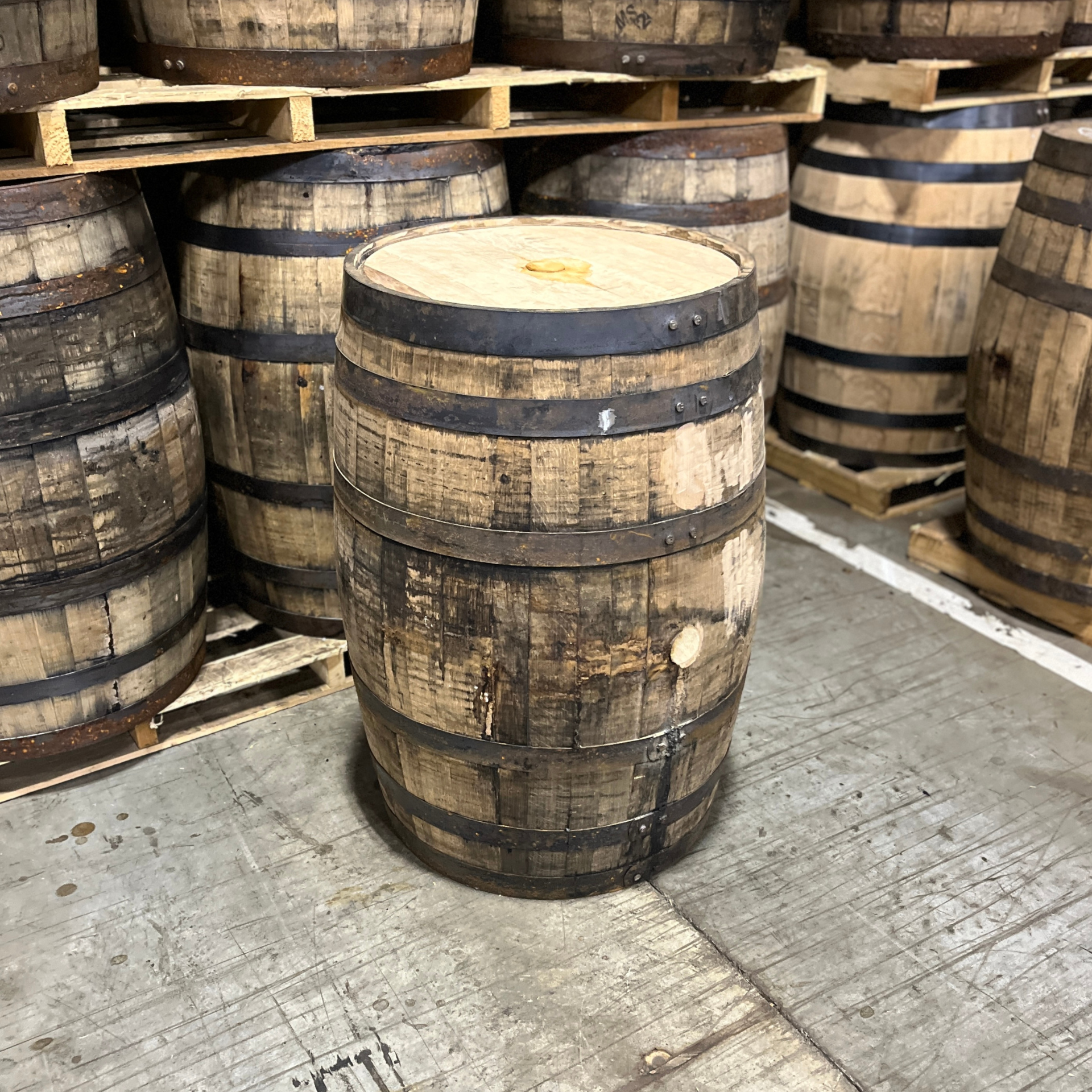 Kentucky Bourbon Barrel With Head & Belly Bungs - Fresh Dumped, Once Used