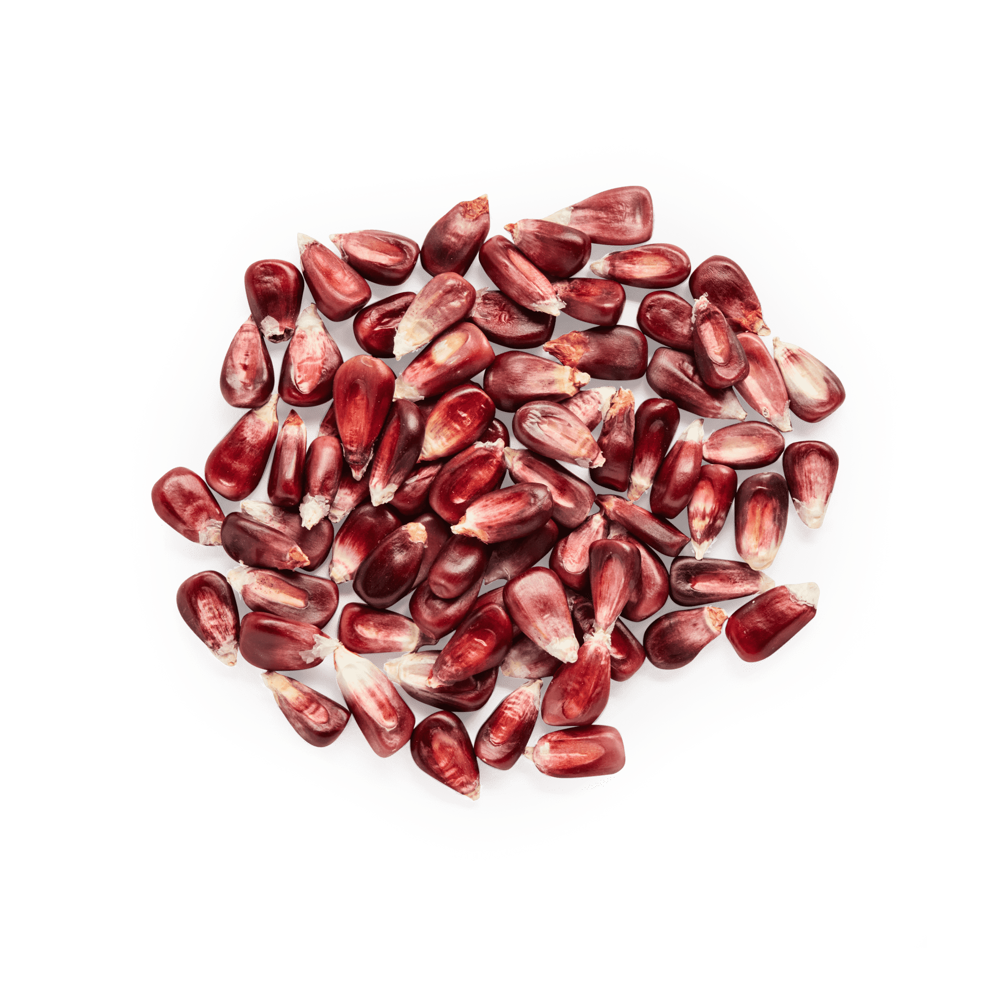 Red Cónico