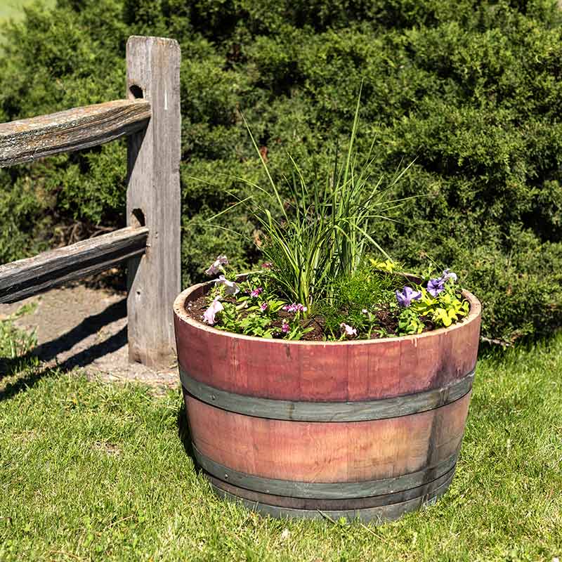 Half Wine Barrel Planter