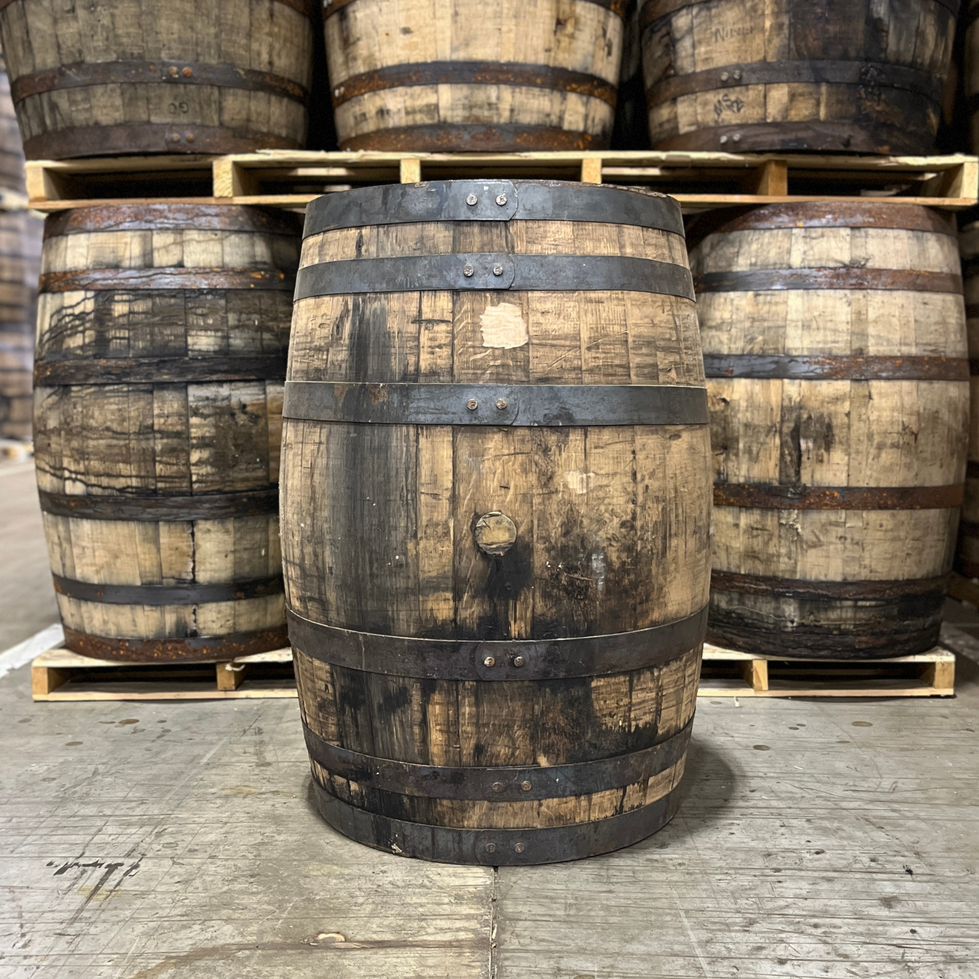 Kentucky Bourbon Barrel With Head & Belly Bungs  - Fresh Dumped, Once Used