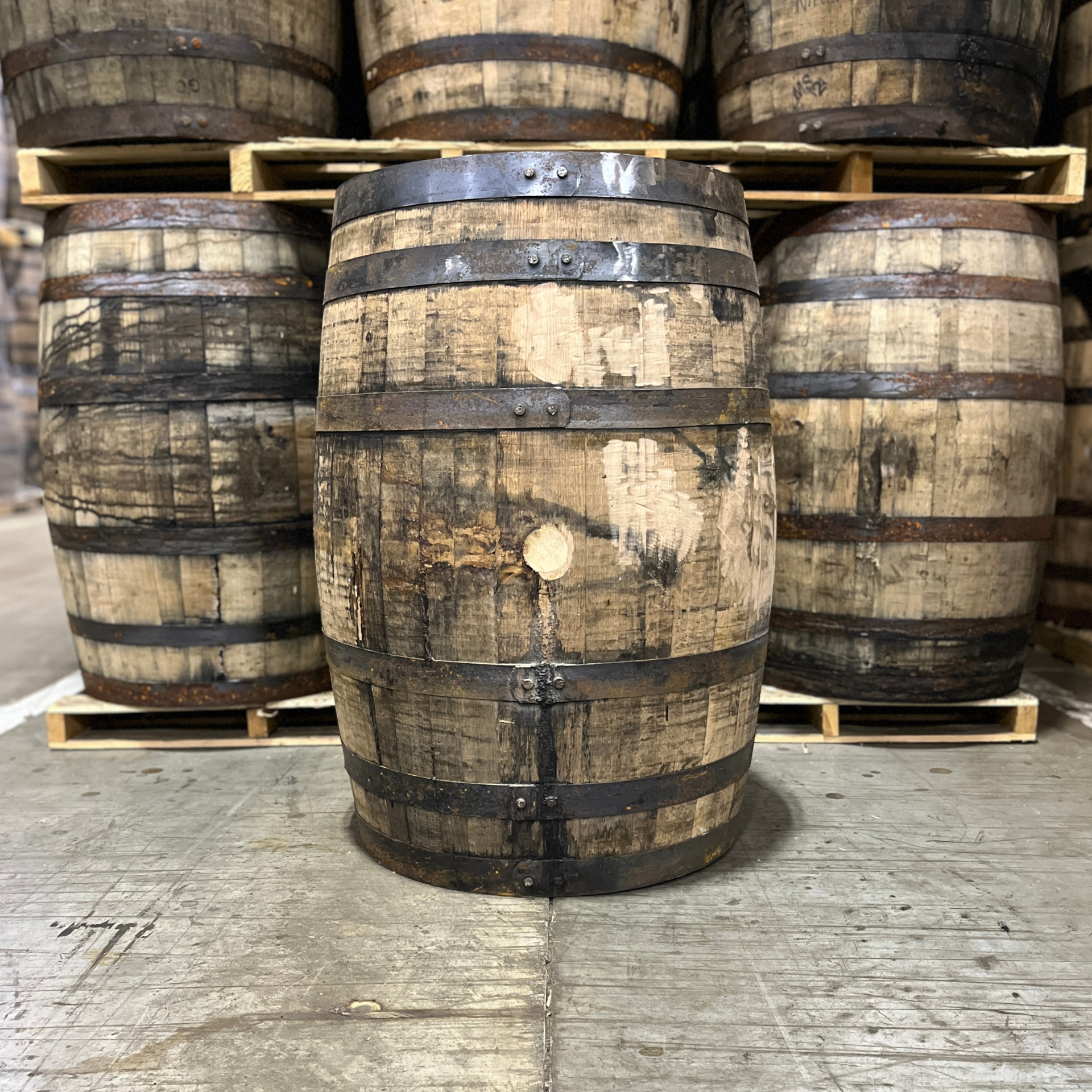 Kentucky Bourbon Barrel With Head & Belly Bungs  - Fresh Dumped, Once Used