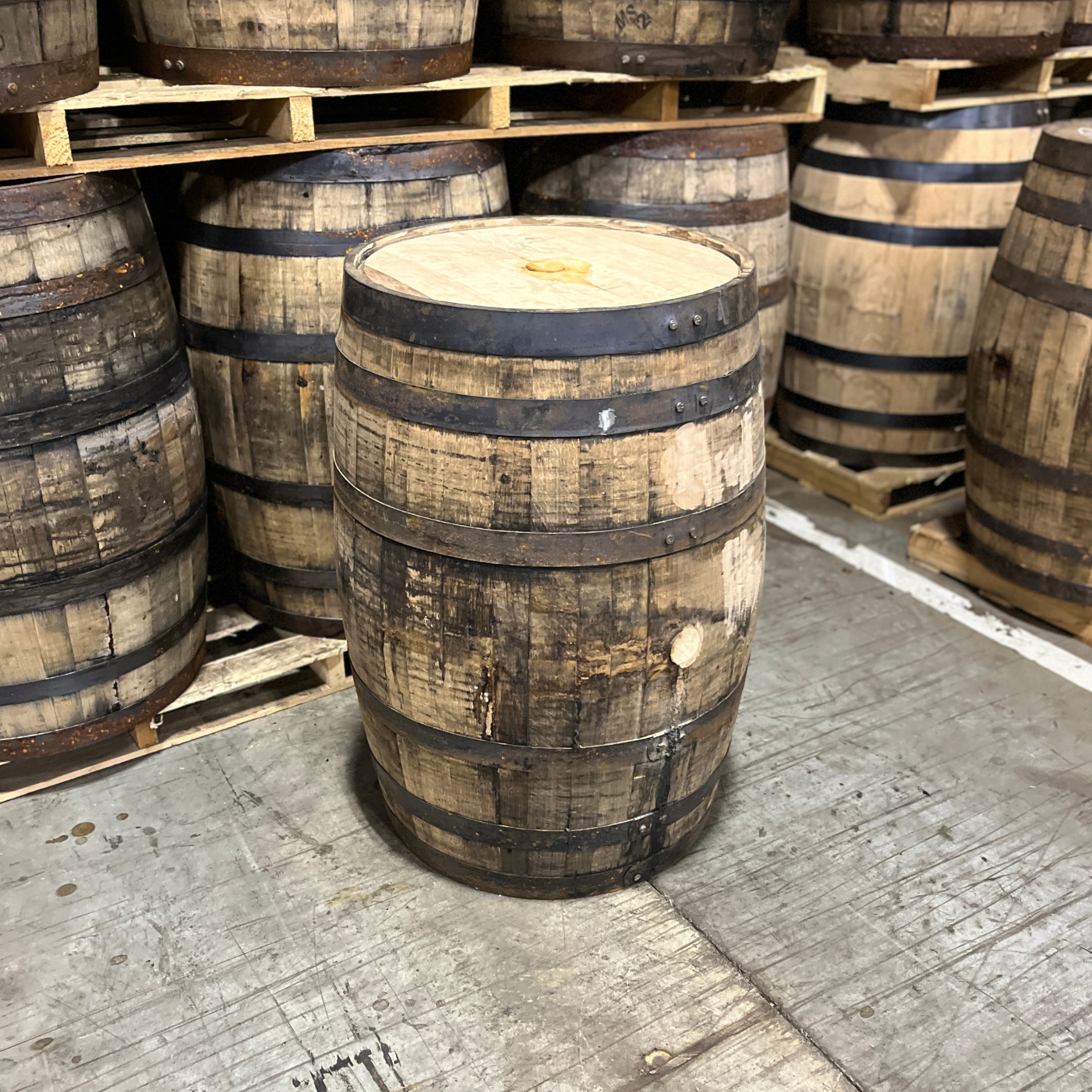 Kentucky Bourbon Barrel With Head & Belly Bungs  - Fresh Dumped, Once Used