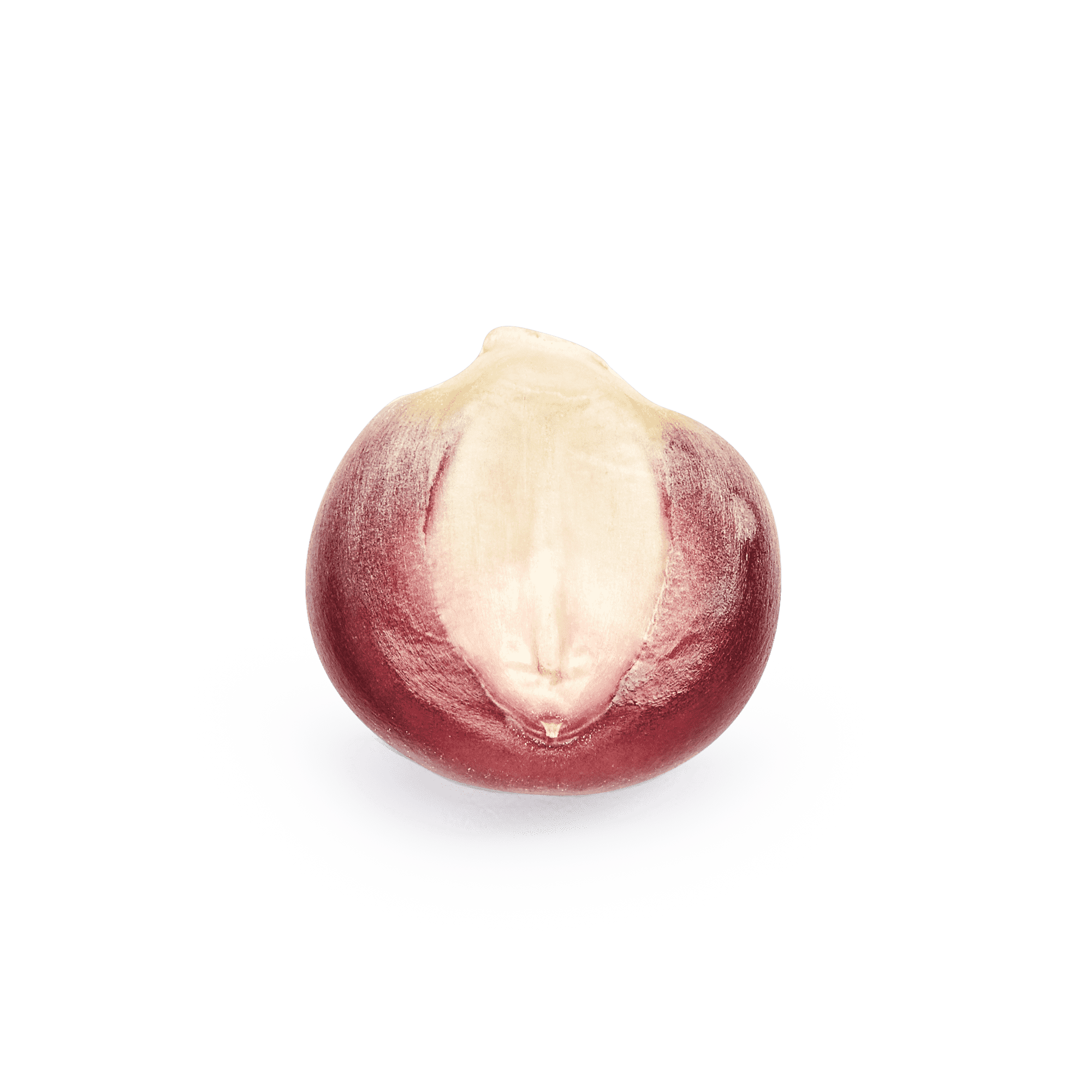 Bolita Belatove
