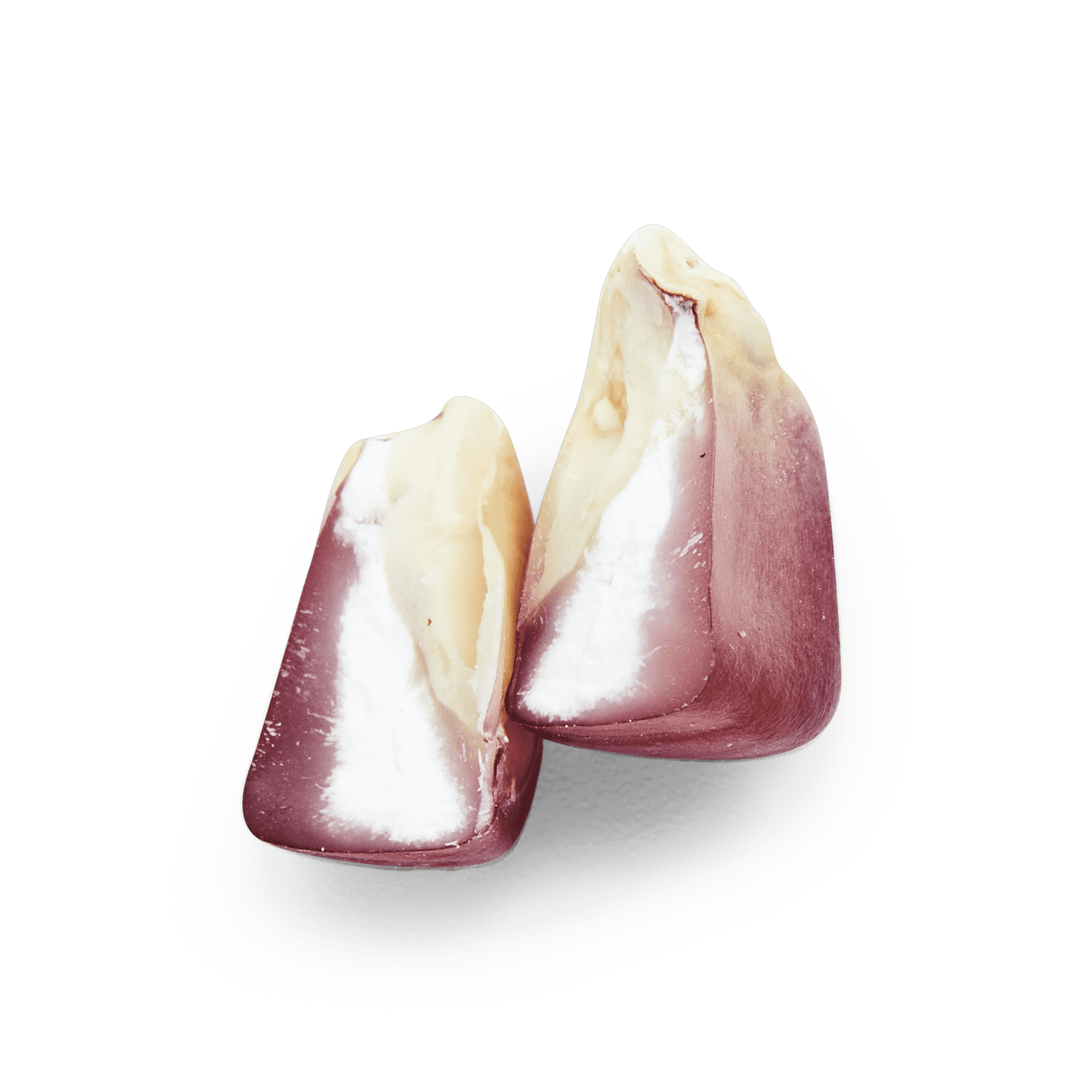 Bolita Belatove