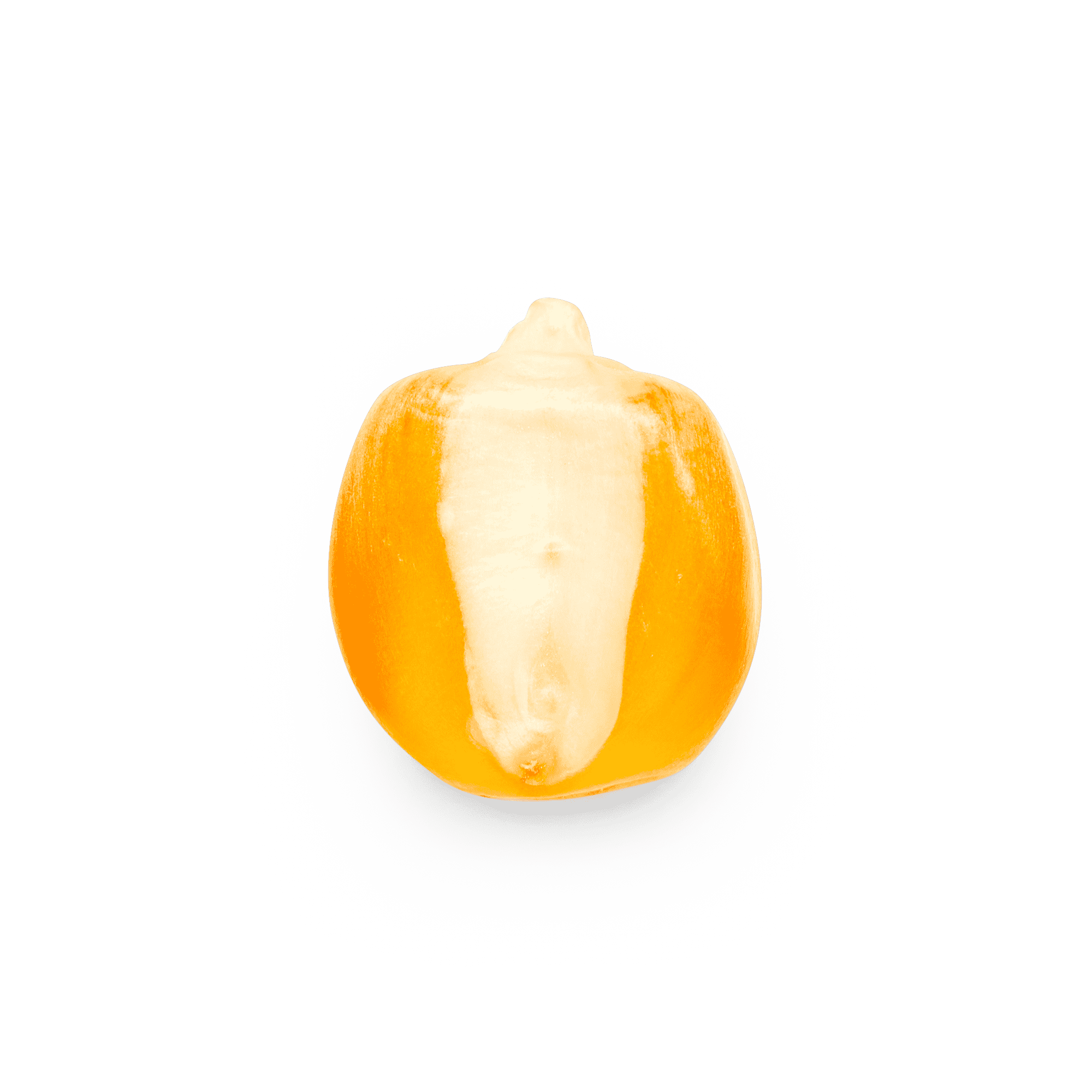 Yellow Bolita