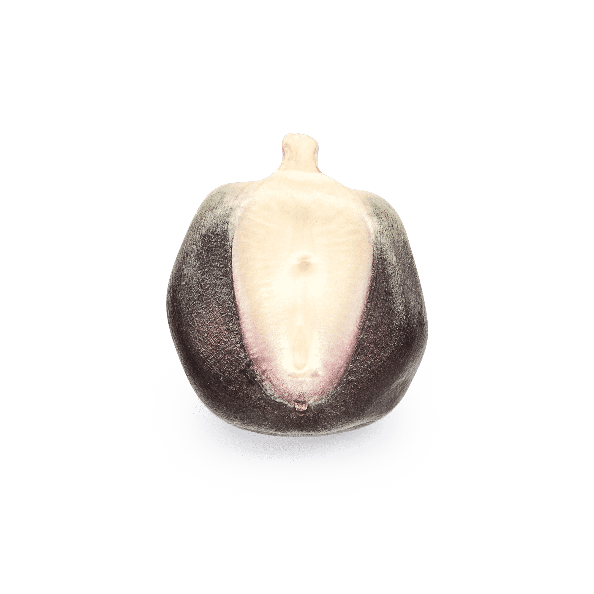 Blue Bolita