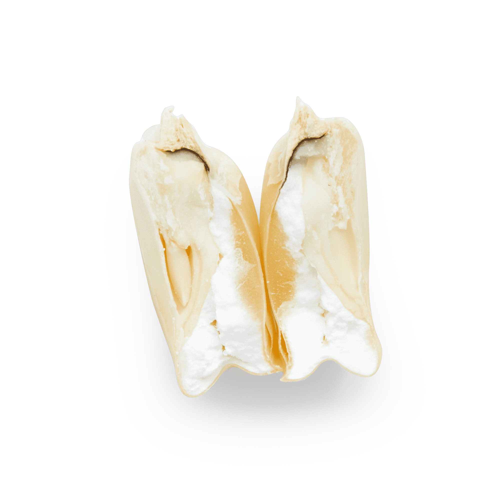 White Bolita