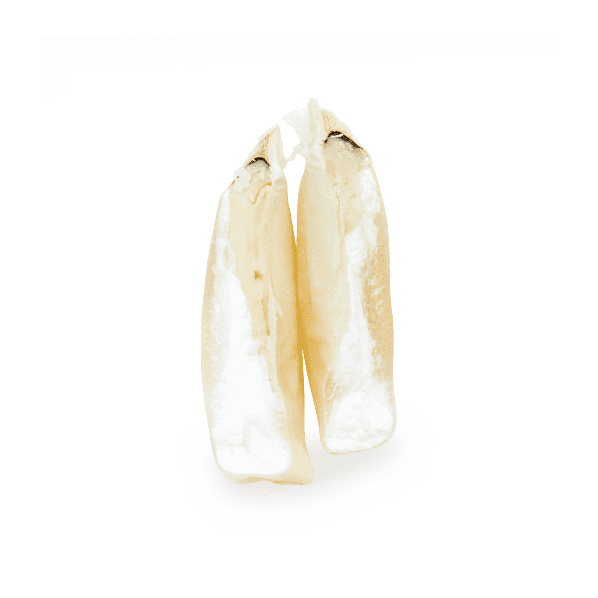 White Chalqueño
