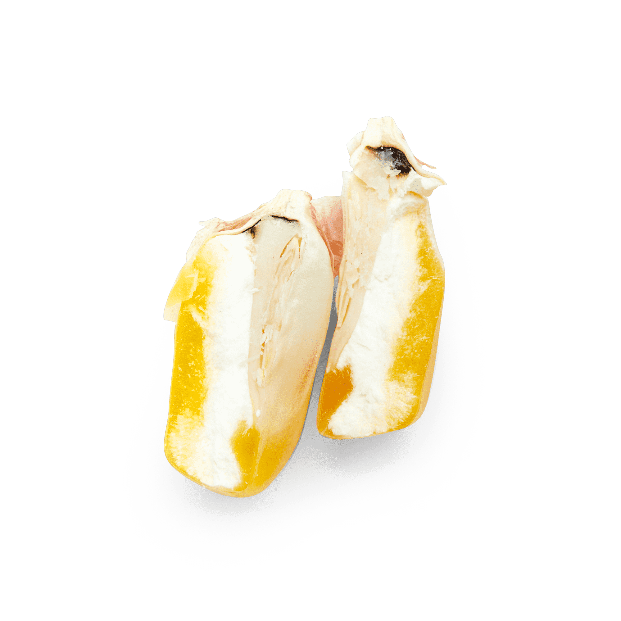 Yellow Cónico