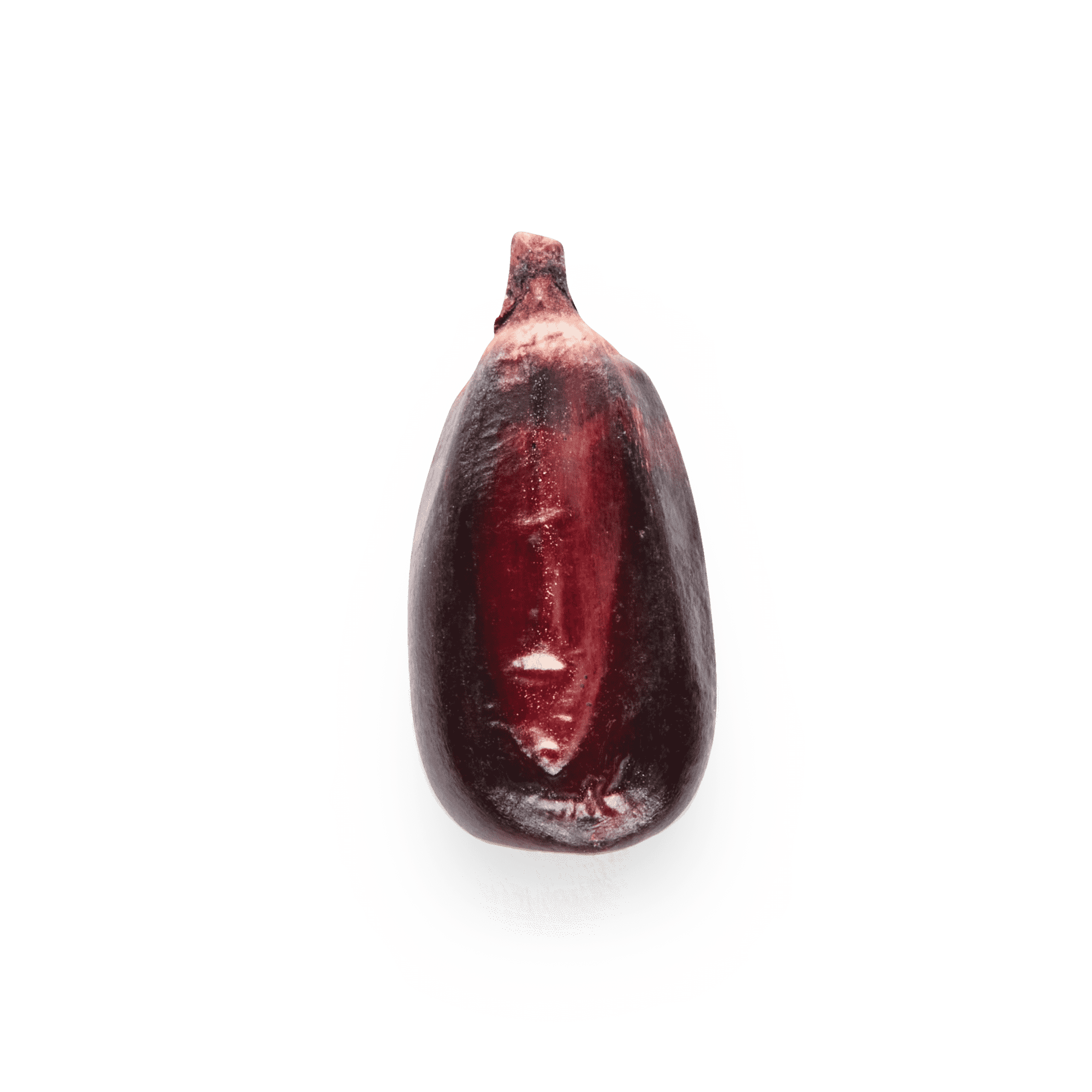 Purple Cónico