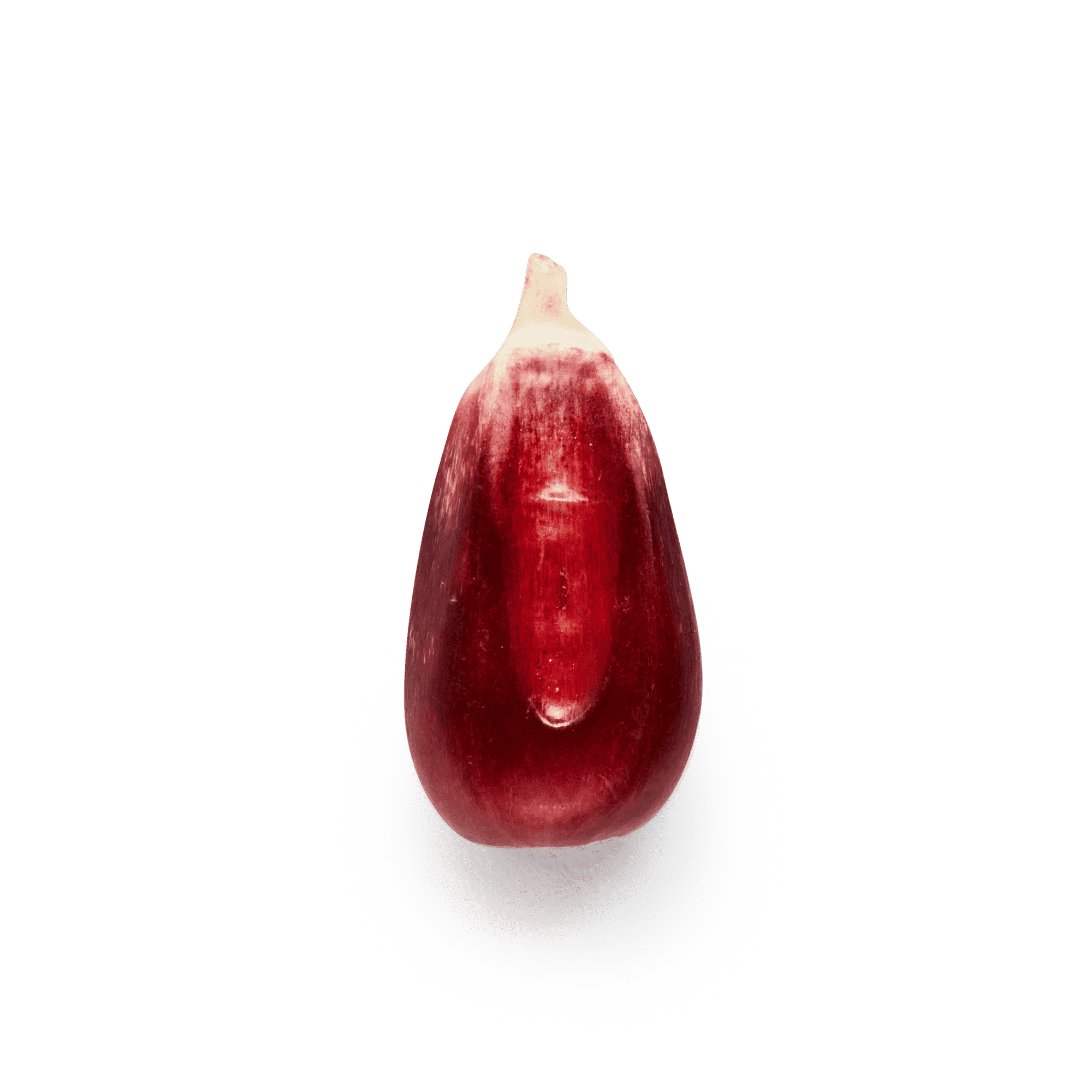 Red Cónico