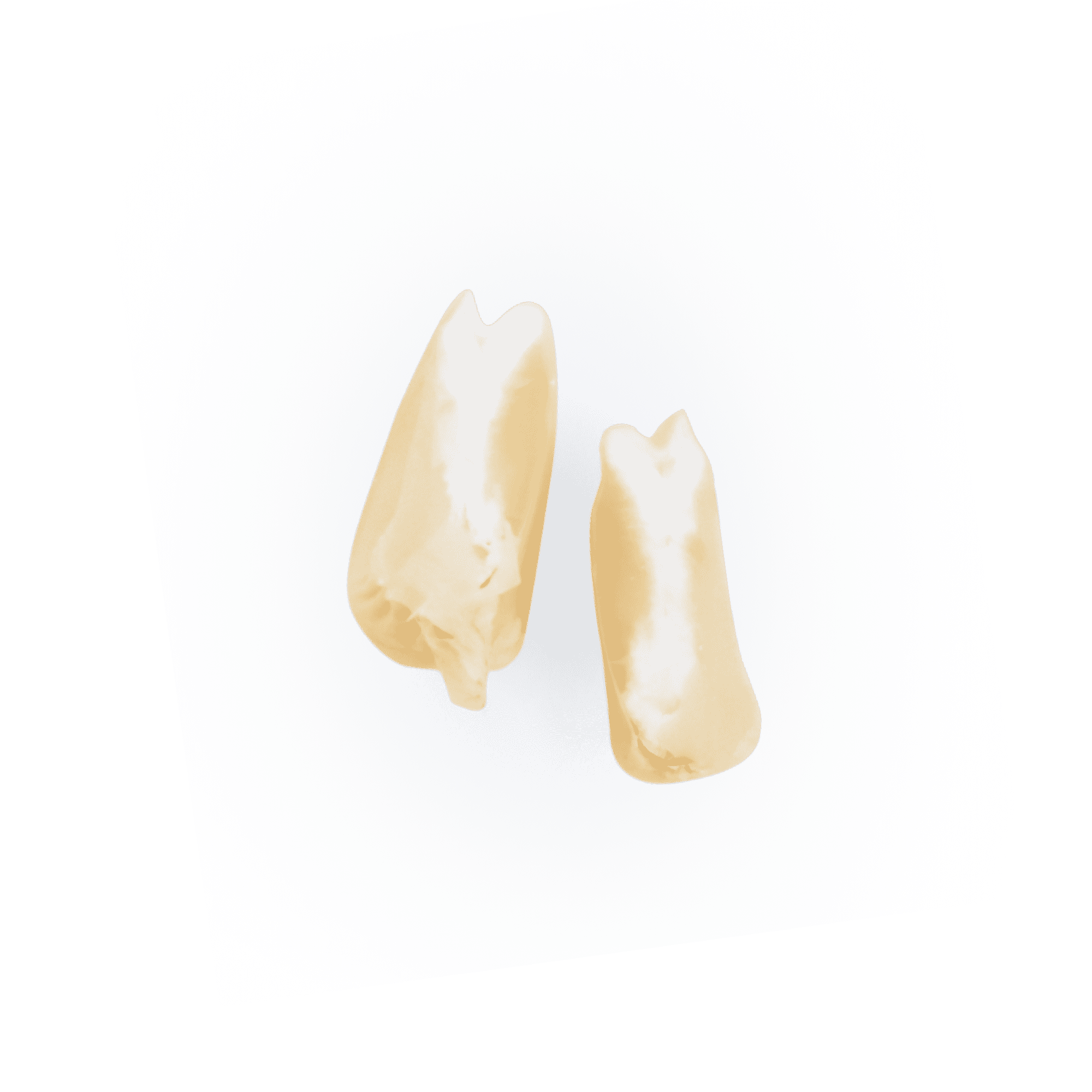 White Jala