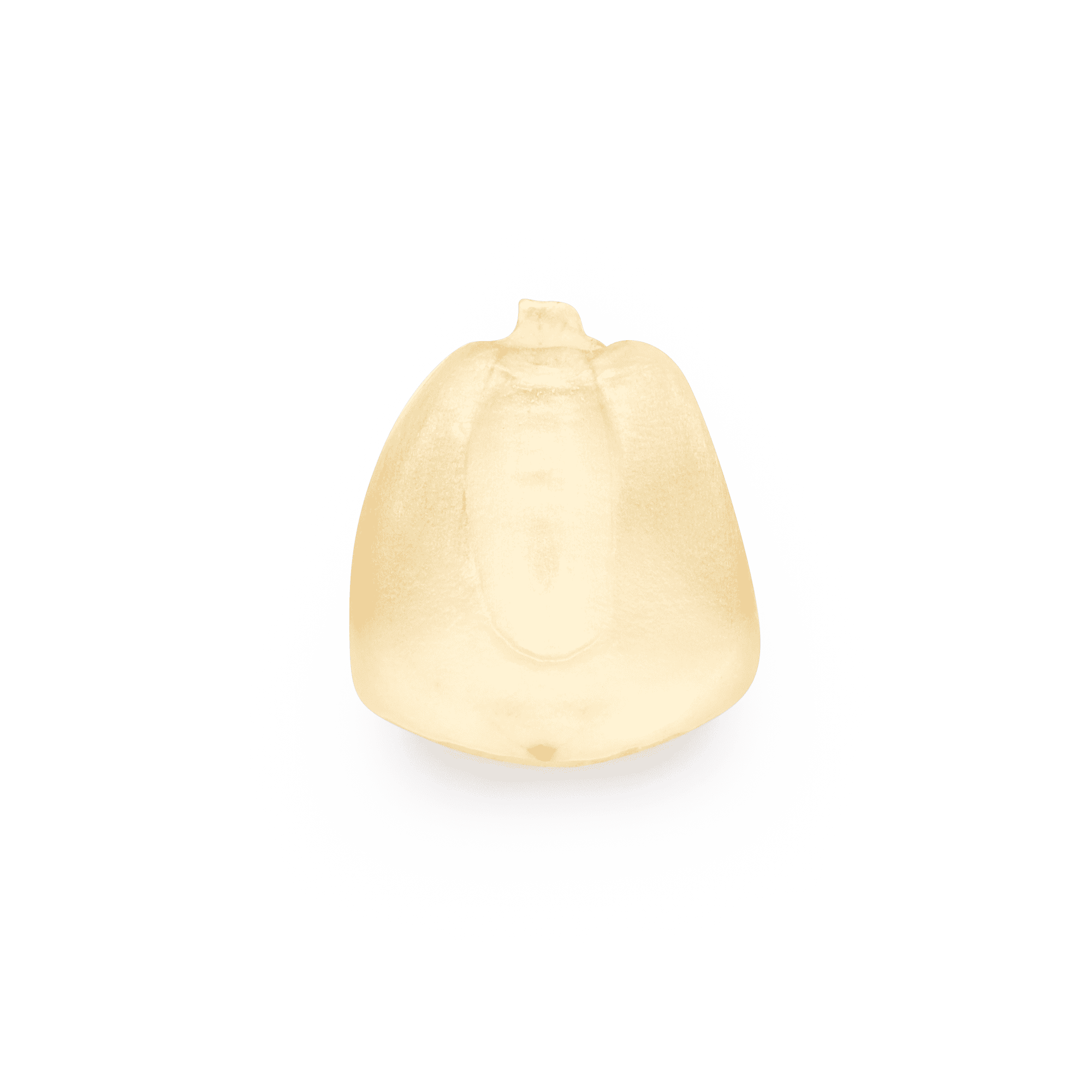 White Olotillo