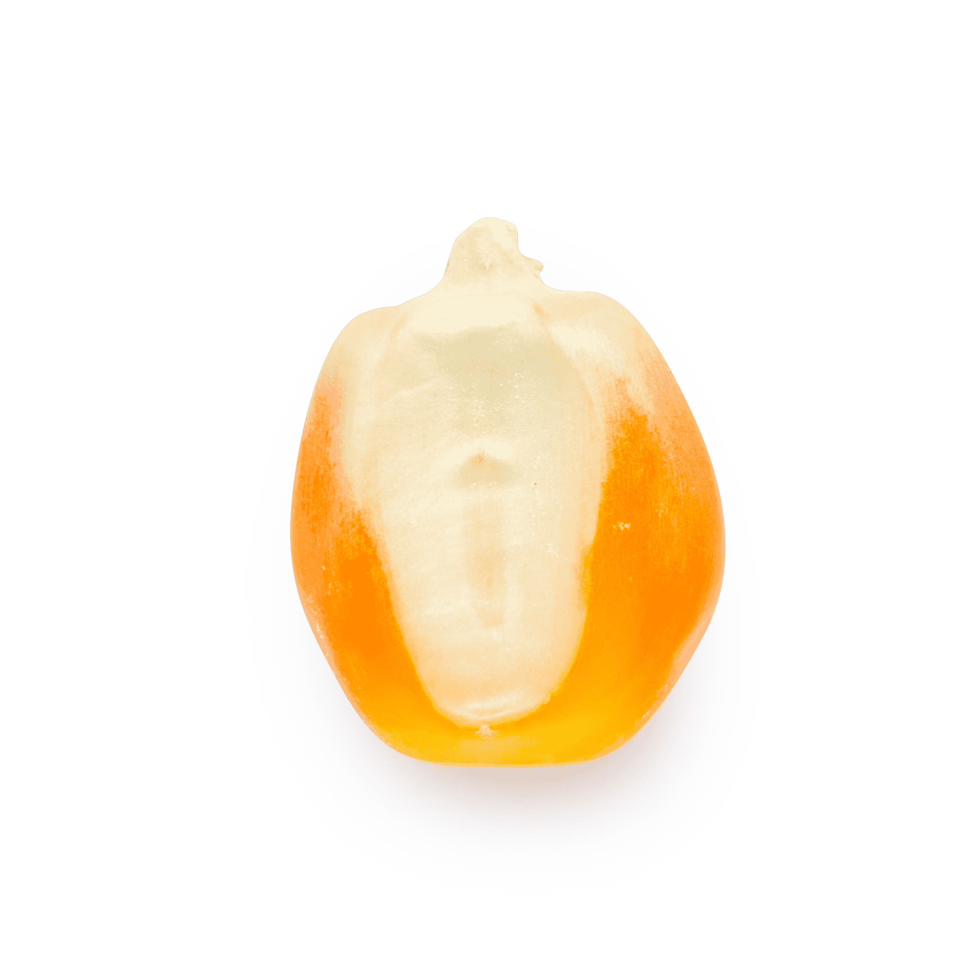 Yellow Tuxpeño