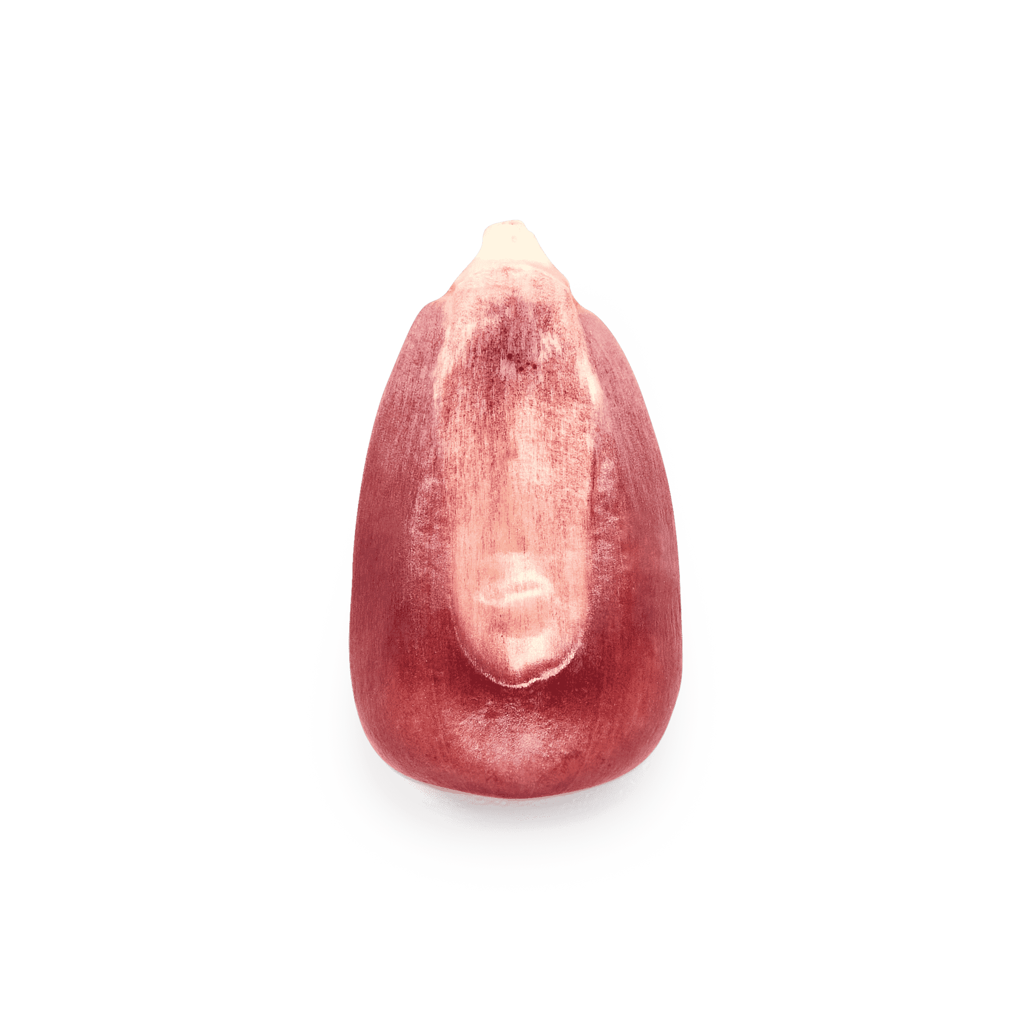 Pink Xocoyul